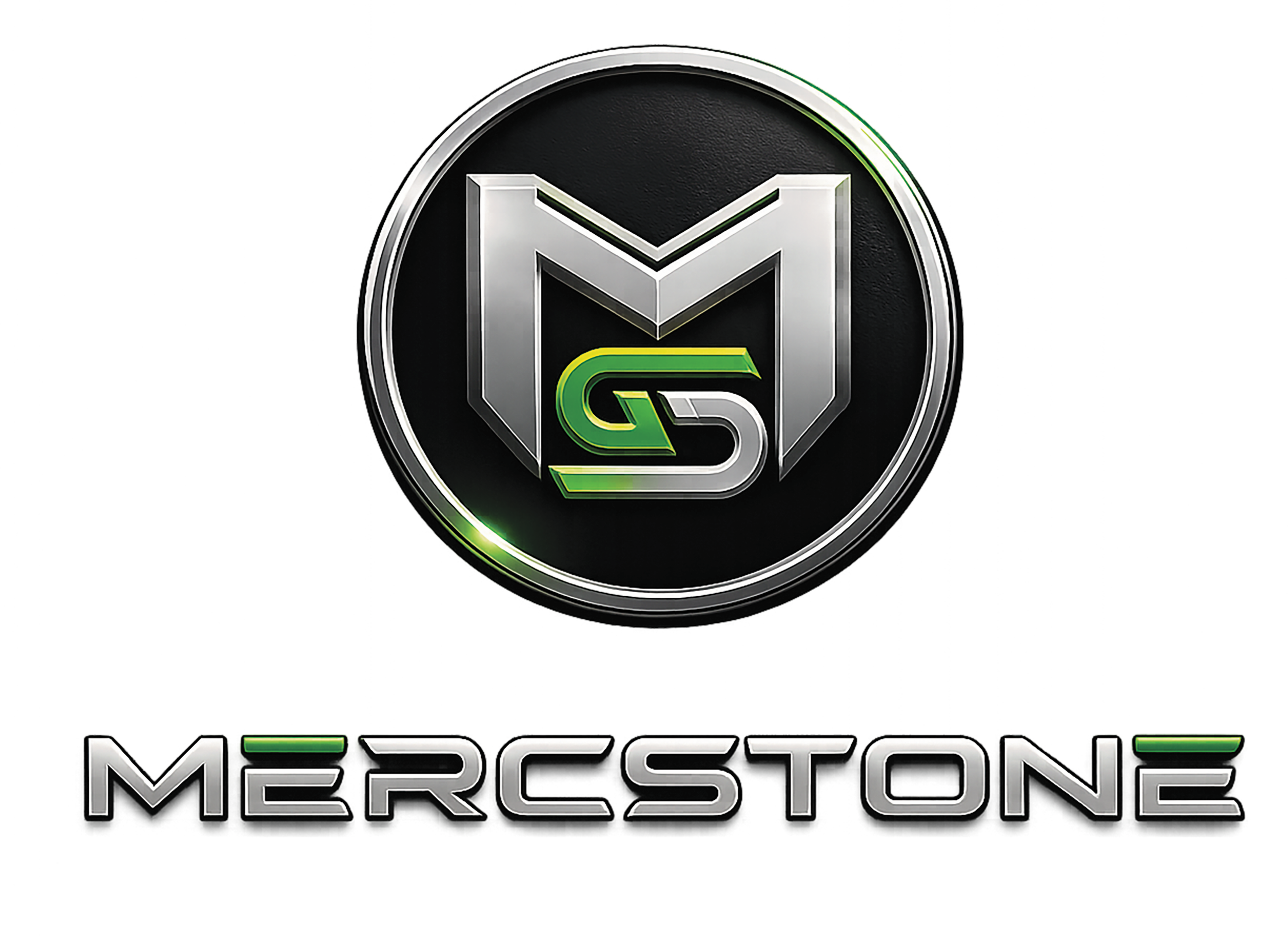 LOGO MS2